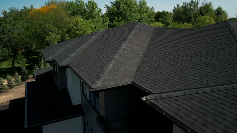 Best Roof Ventilation Installation  in Seth Ward, TX